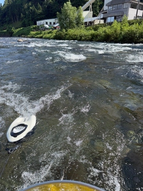 長良川郡上鮎釣り～1.5時間勝負で11匹釣果～ | 釣具のイシグロ